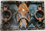 Tin Bar Signs