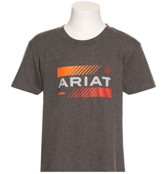 T-shirt Ariat Homme – Taille L – Multicolore – Occasion Très Bon état