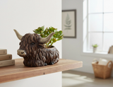Highland Cow Pot